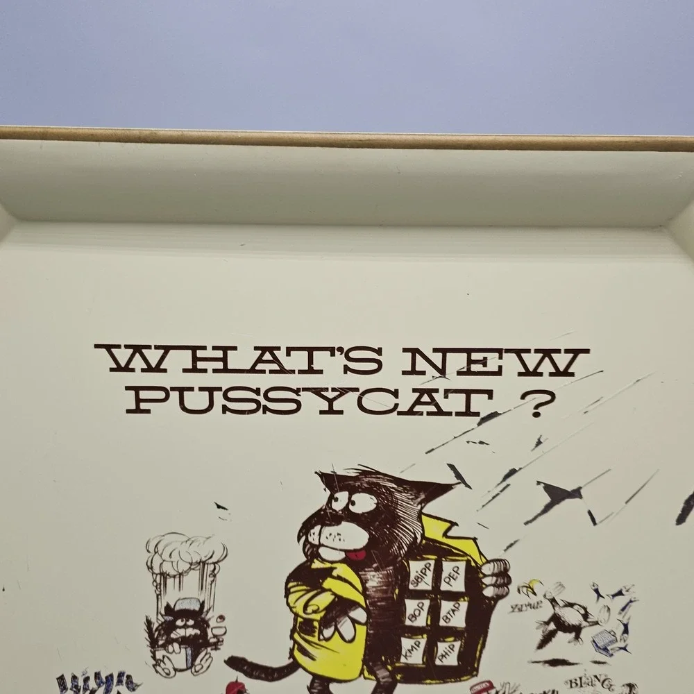 Mid Century What's New Pussycat? Aetna Enamel Tray Cottage Grandma Folkart 1966